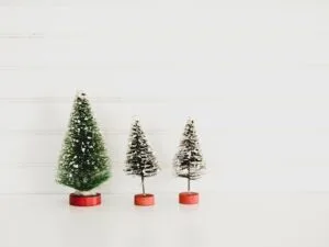 Christmas Trees
