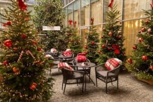 Christmas Decorations Outdoor